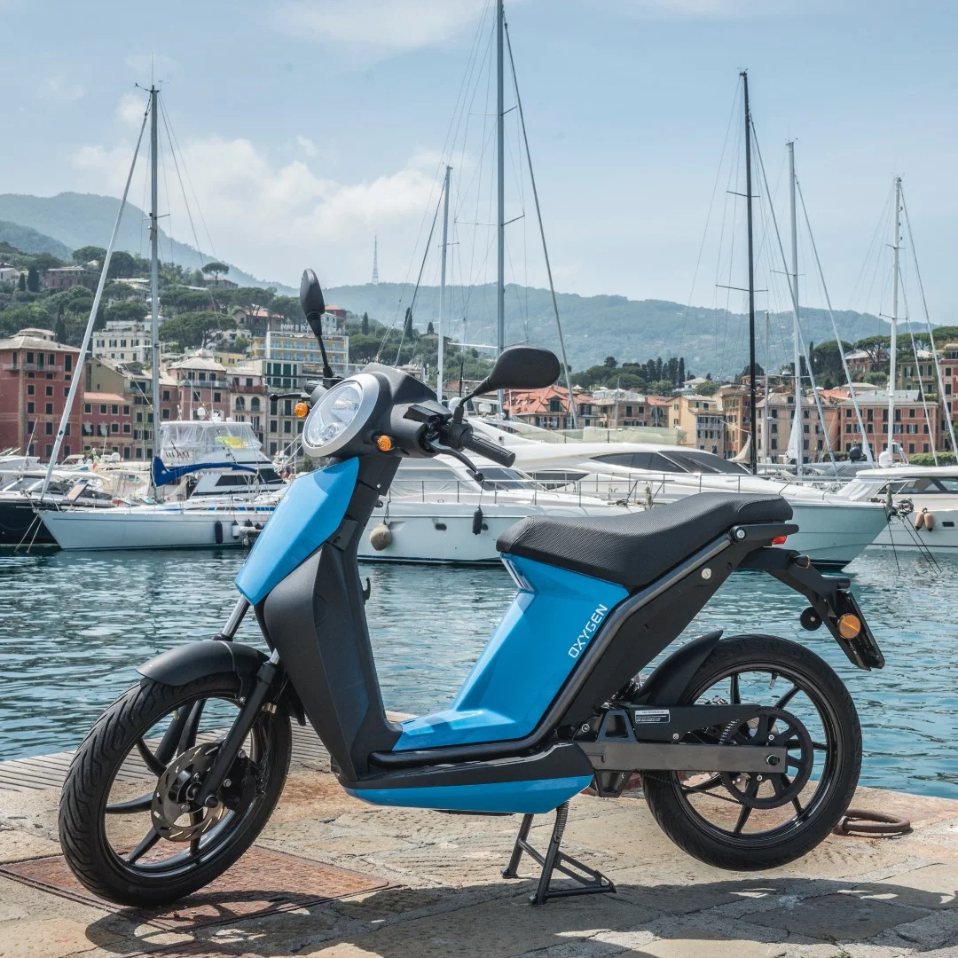 Quadro Oxygen 2019