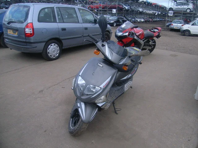 PGO T-Rex 50
