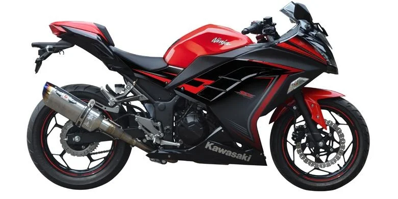 Kawasaki Ninja 250 Beet