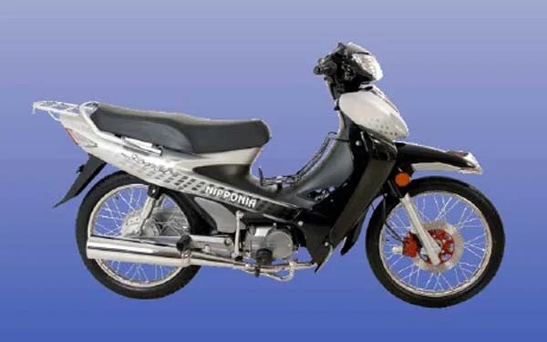 Nipponia NC 110