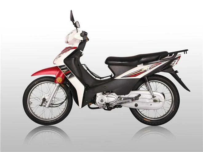 Lifan Showing 110