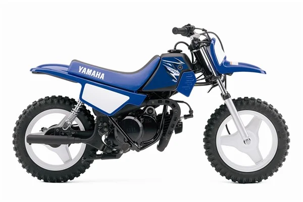 Yamaha PW50