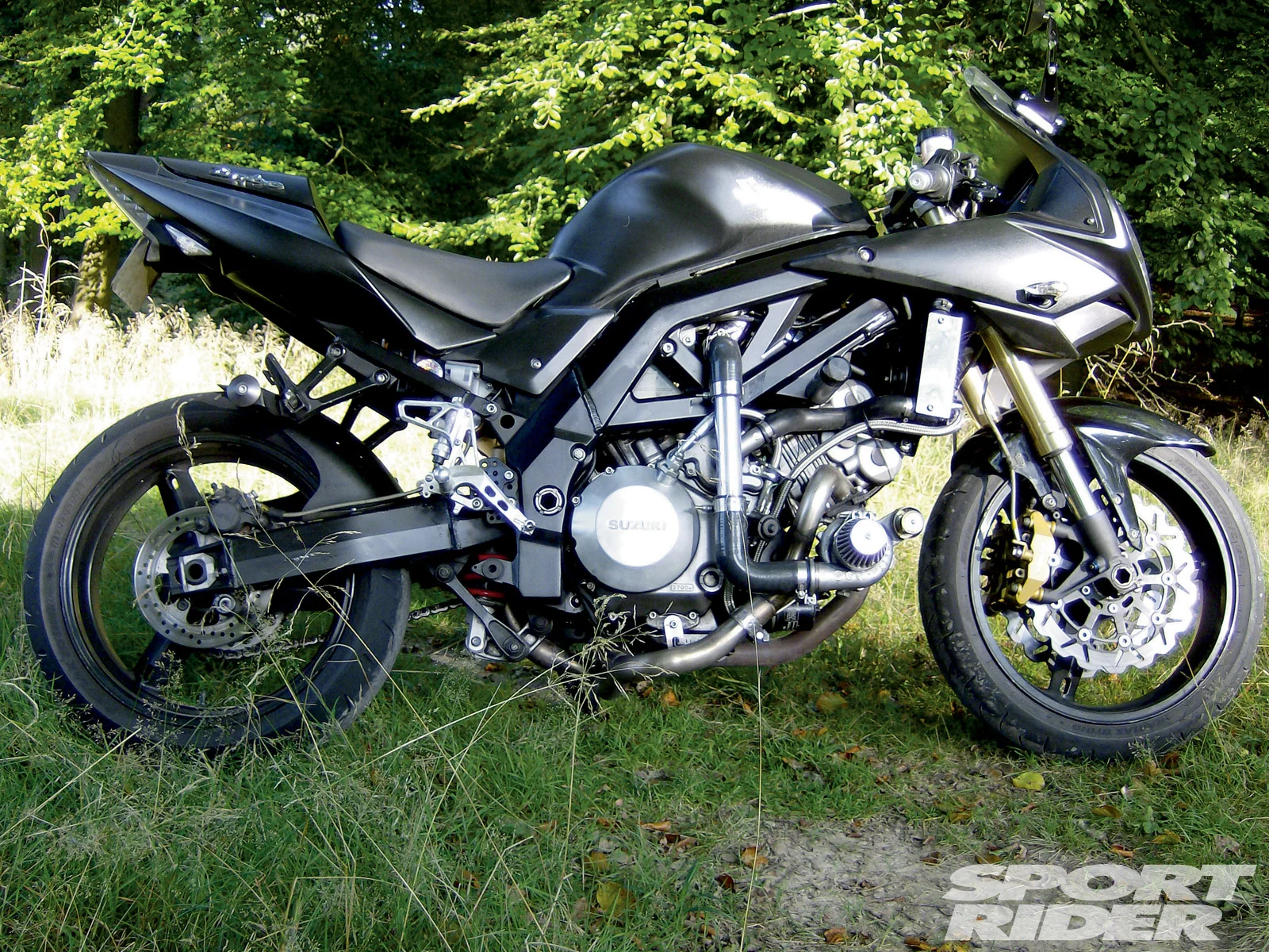 Suzuki SV 1000 S