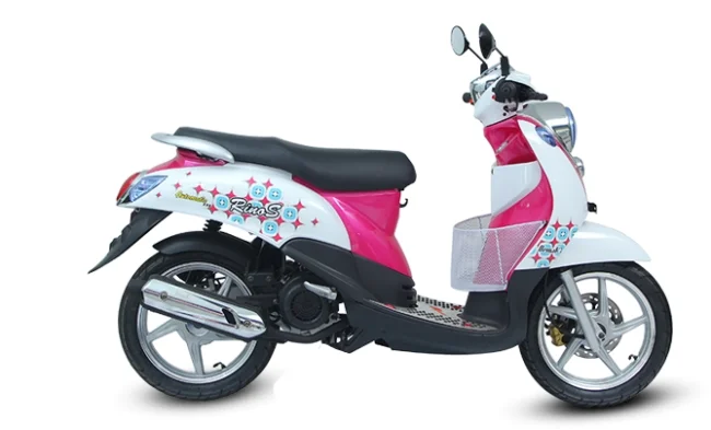 Demak Rino S 2013
