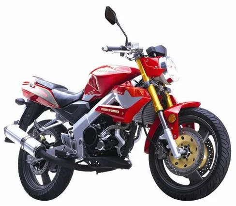 Eagle-Wing DB300 Naked 2011