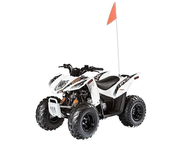 Arctic Cat 90