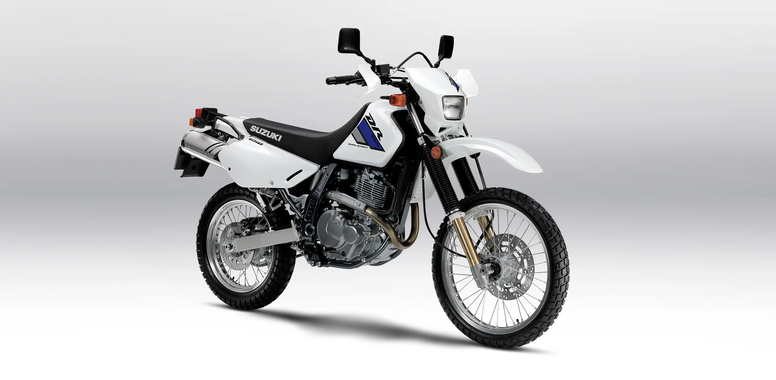 Suzuki DR650S