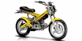 Sachs MadAss 125 2013
