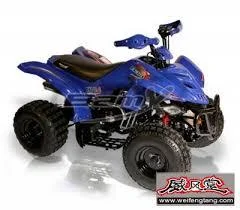 Bam BX110-S Tracker 2010