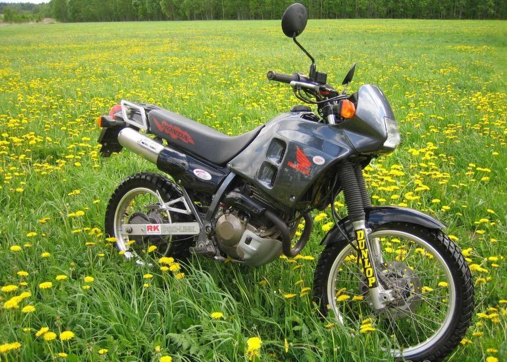 Honda NX 250