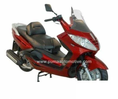 Puma Navona 250 2010
