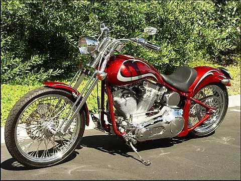 American Raven 2009